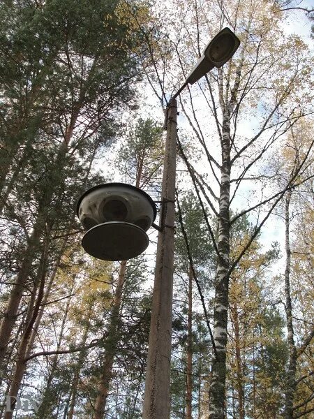 Дол Металлург Лемболово. Пионерский лагерь Металлург Лемболово. Дол лемболово