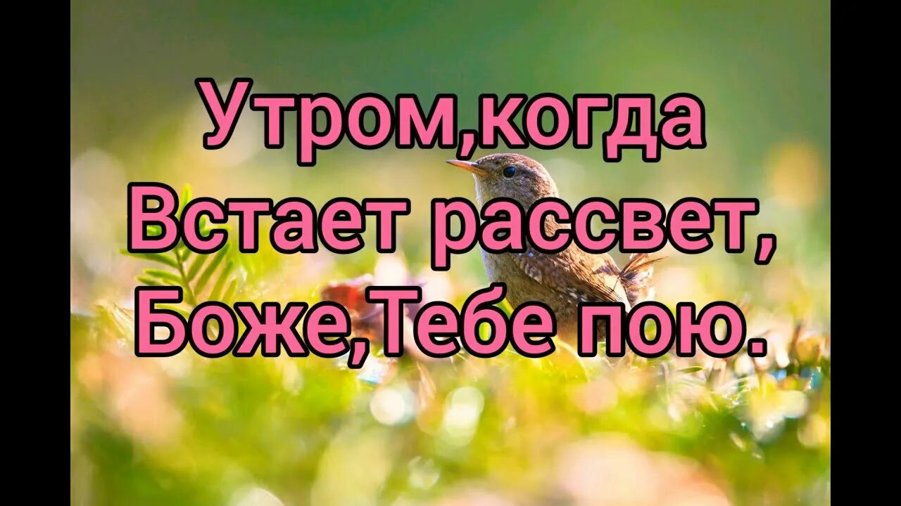 Утром когда встает рассвет. Когда встал на рассвете. Христианская песня встаёт рассвет. Песня просыпайся рассвет. Песня встает рассвет