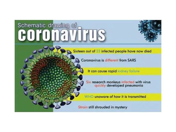Коронавирус. Коронавирус картинки. Вирус коронавирус. Плакат на тему коронавирус на английском языке. Коронавирус останется
