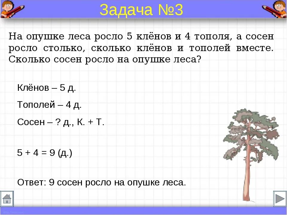 В каждой сосне не было