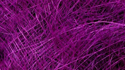 Purple square