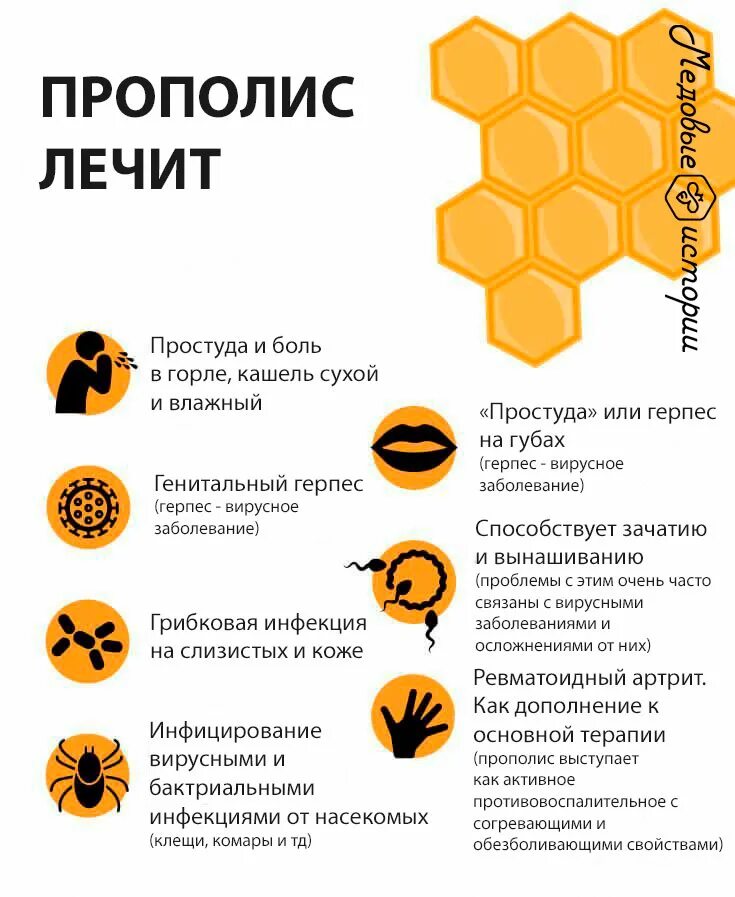 Народные рецепты картинки. Лечи для чего полезно. Чем полезен цвет липы. Мёд натуральный. Калина полезная для здоровья.