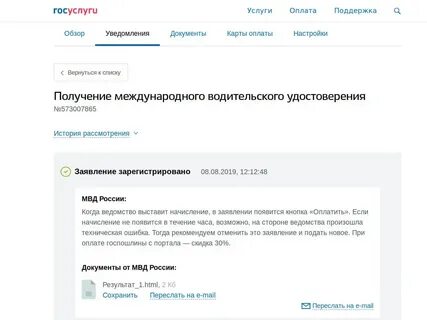 Время рассмотрения заявления на госуслугах