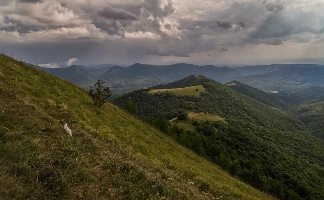 Погода горный июль. Июль горы.