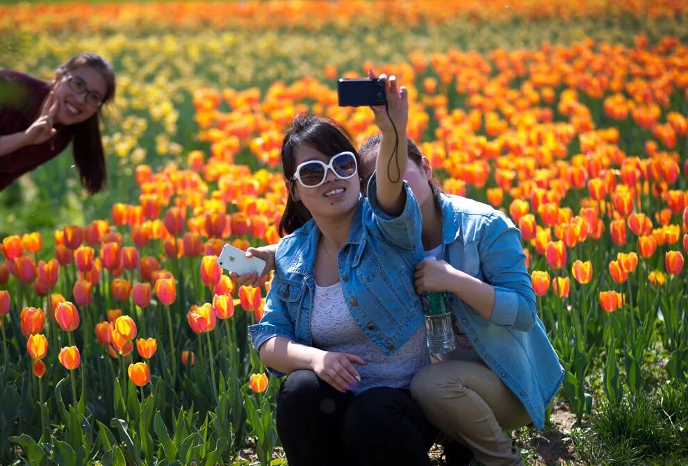 Сфотографироваться с тюльпанами. Жизнь апрель. Река чагодоща. Жизнь апрель. Жизнь апрель.