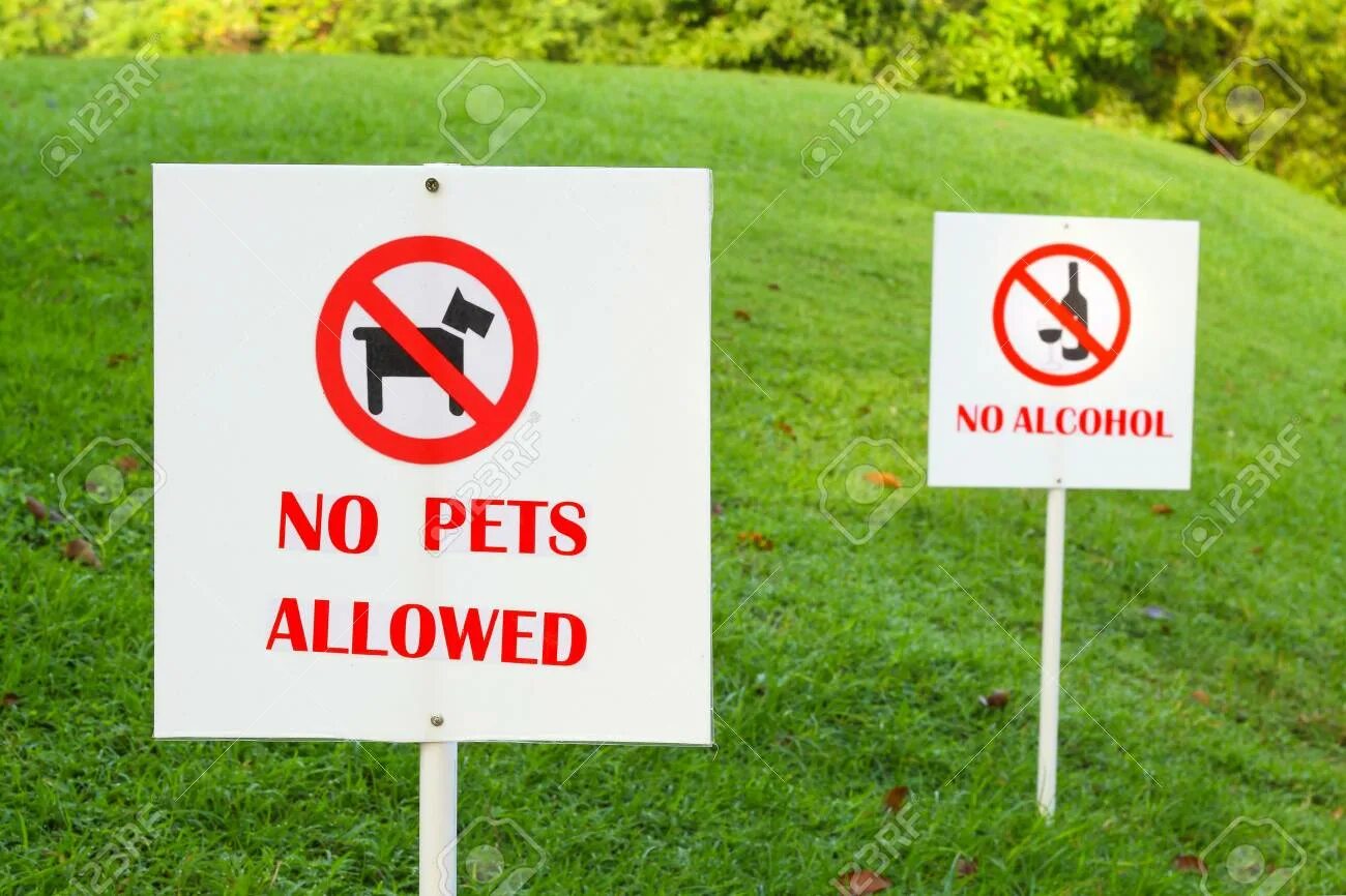 Знаки в парке. Знаки в парках. Мемо дорожные знаки. Signs in the park. Знаки в лесопарке.