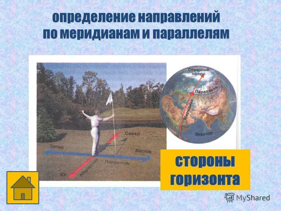 определение расстояния по градусной сетке. география градусная сеть параллель. параллели и меридианы градусная сеть 5 класс. градусная сеть на глобусе и картах 5 класс. энергетические меридианы человека китайская медицина.