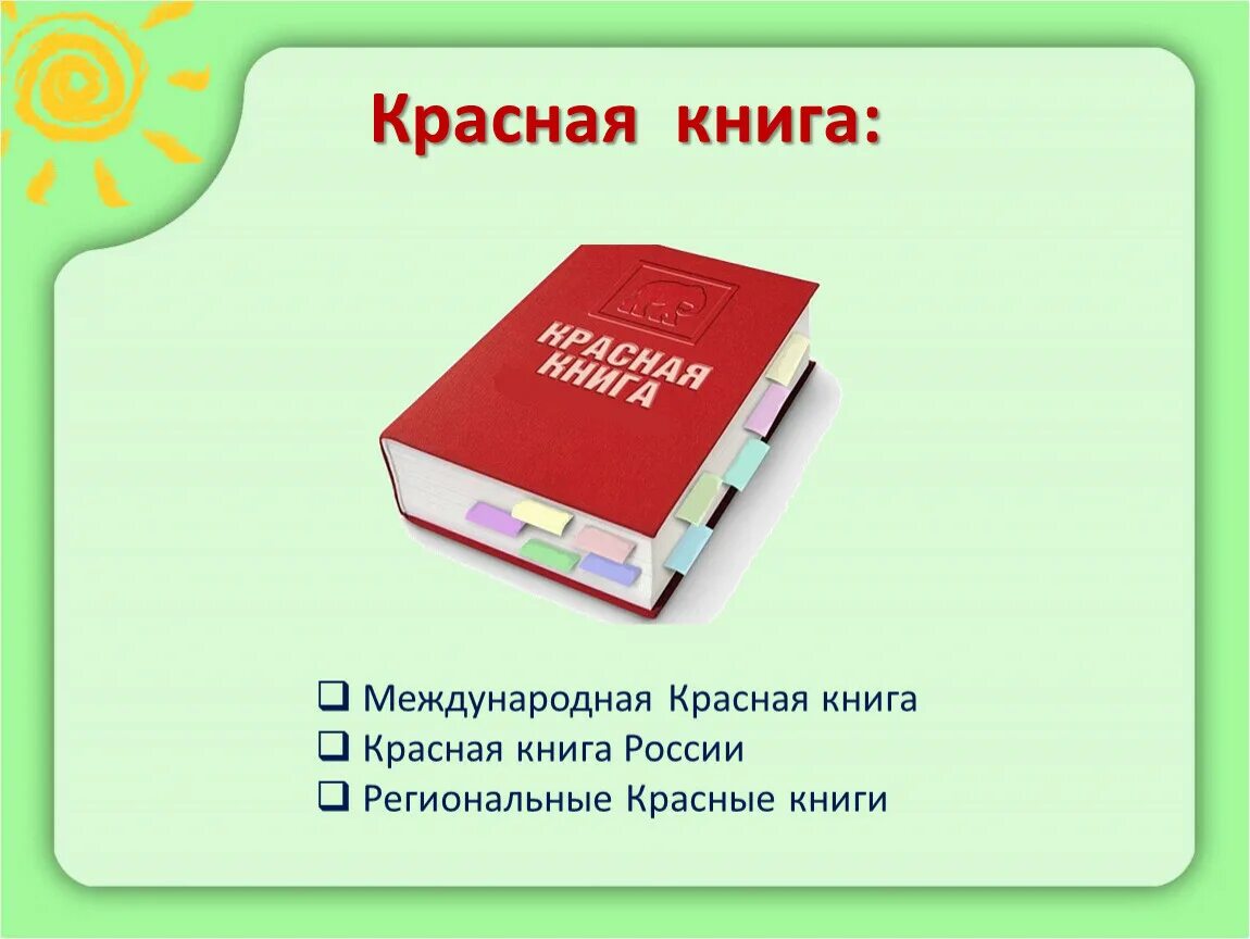 Красная книга россии цвета. Красная книга России книга страницы. Как выглядят страницы красной книги России. Типы страниц красной книги. Красная книга листать страницы.