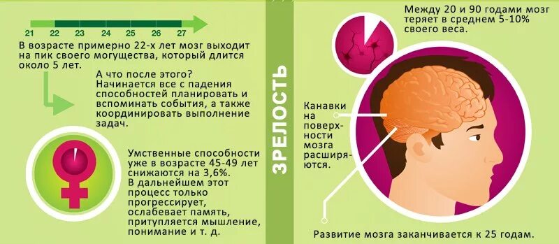 Мозг изучен на процентов. До какого возраста развивается человеческий мозг. Мозг развивается. Влияние на деятельность мозга.. Влияние чтения на мозг человека.