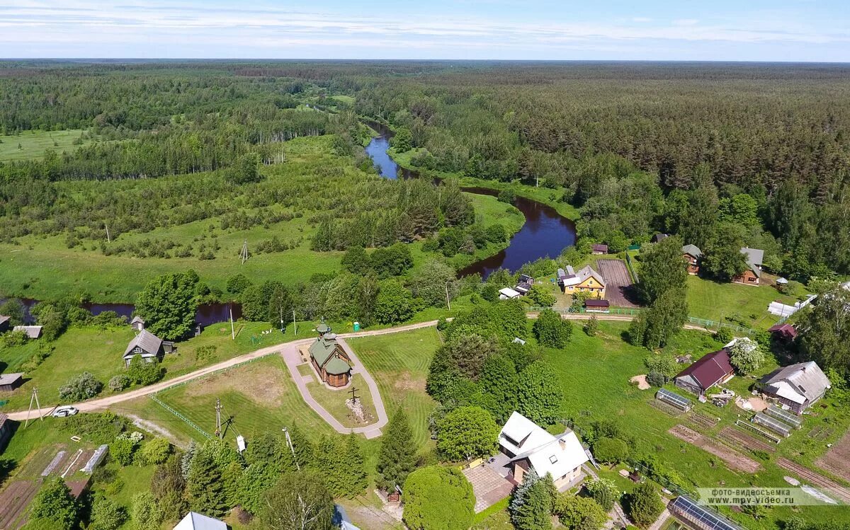 Новгородская область 2019. Крестецкий район Новгородской. Деревня Холова. Деревня Шеребуть Крестецкий район Новгородская область. Новгородская область деревня Холова.