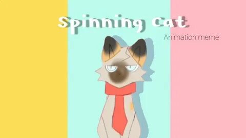 Meme animation cat
