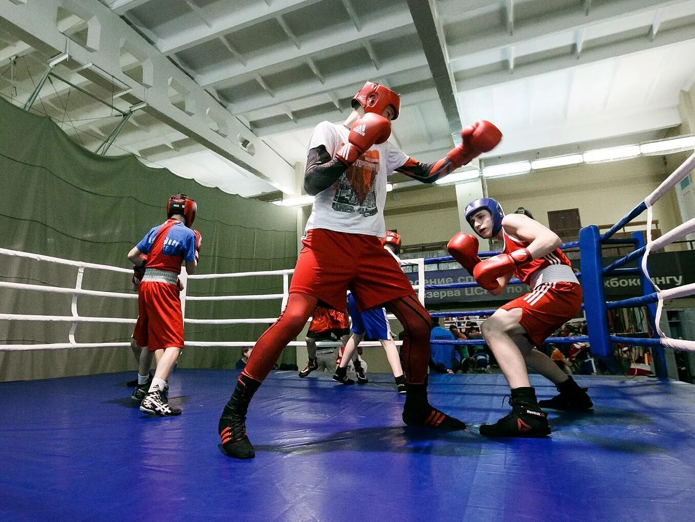 Бокс тренировка. Тренировка по боксу. Тренировка боксера. Бокс спарринг. Server boxing