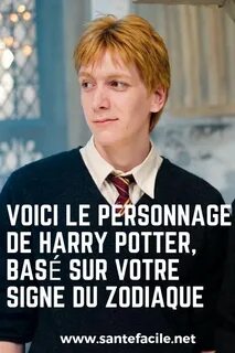 Potter base
