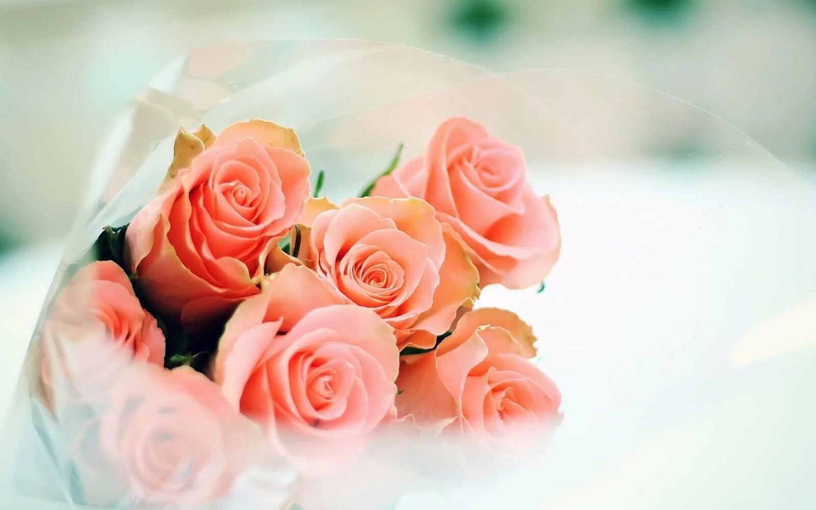 С днем рождения. Открытки с розами красивые. Цветы женщине красивые и нежные. Нежное поздравление с днем рождения.