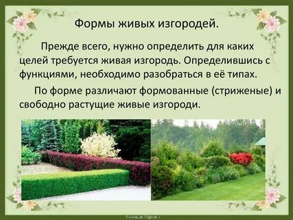 Тема посадки