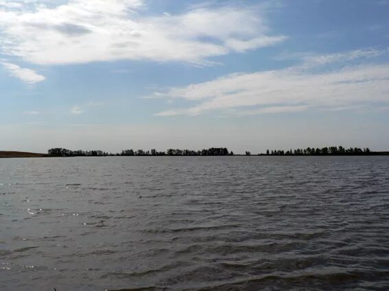 Новониколаевка озеро. Новониколаевка белгородская область. Новониколаевка белгородская область. Село новониколаевка челябинская область. Новониколаевка старооскольский.