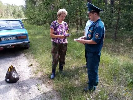 Доска хойники