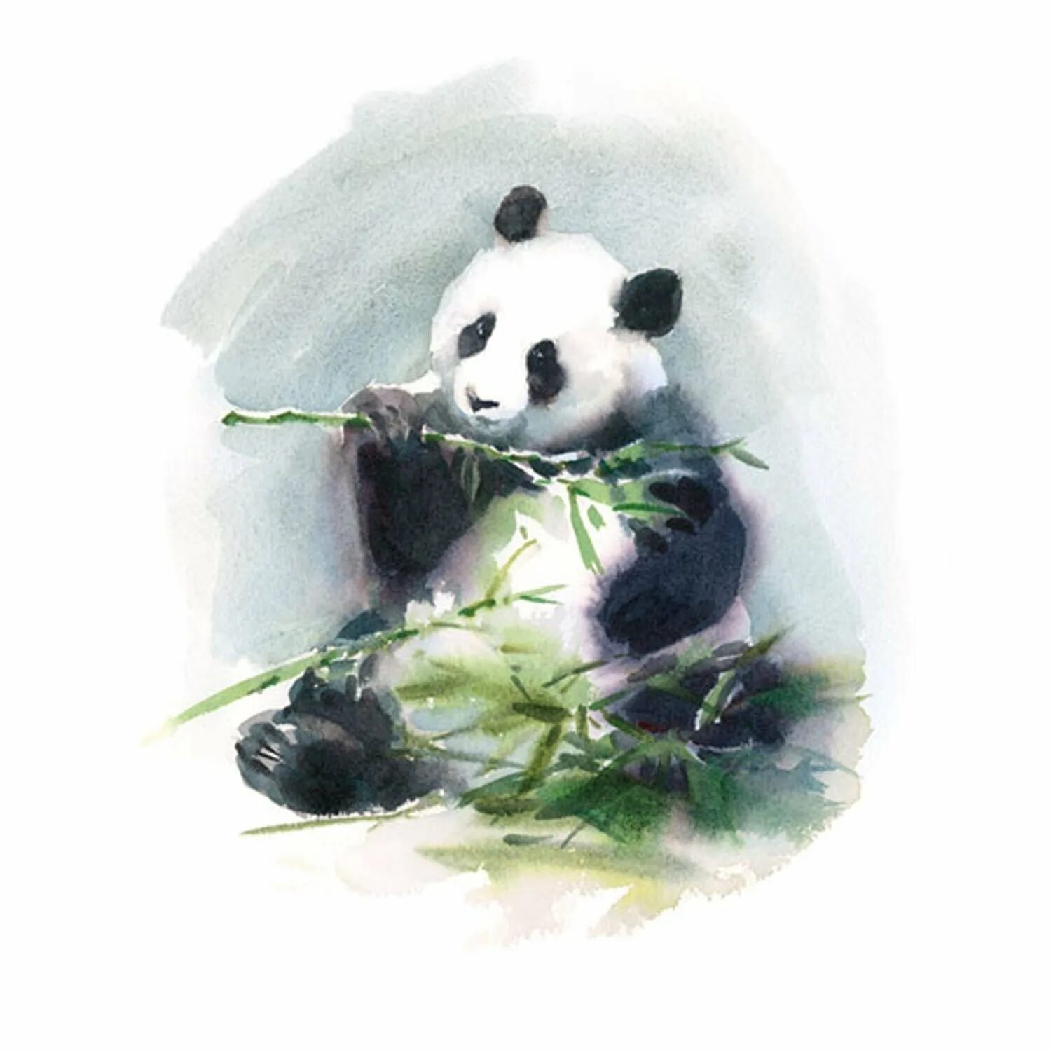 Купить карту с пандой. Пандочки акварелью. Акварельные картины с пандами. Панда акварелью на белом фоне. Китайская живопись акварелью с пандами.