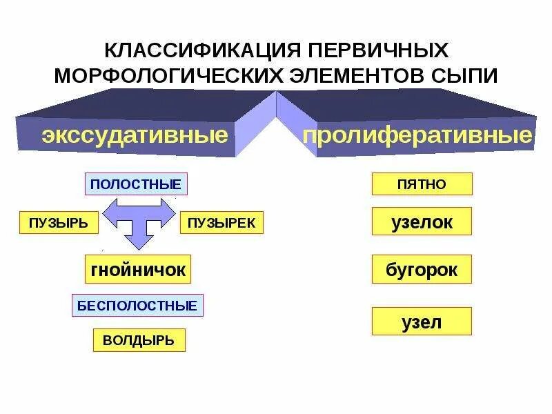 Вторичные элементы. Первичные бесполостные морфологические элементы кожи. первичные морфологические элементы дерматовенерология. дерматовенерология первичные и вторичные морфологические элементы. морфологические элементы сыпи бесполостные:.