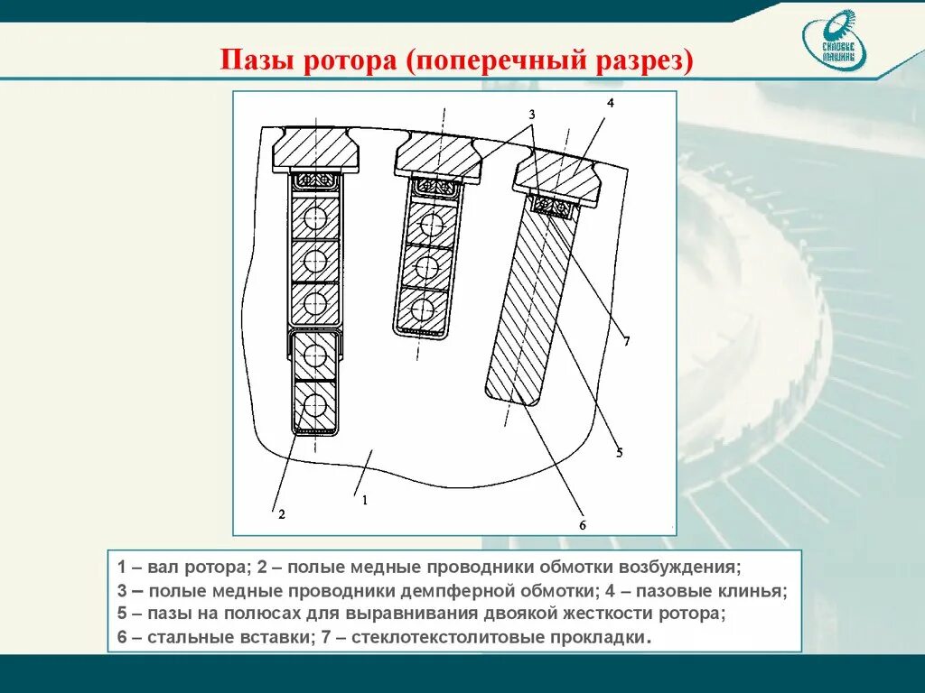 Паз ротора