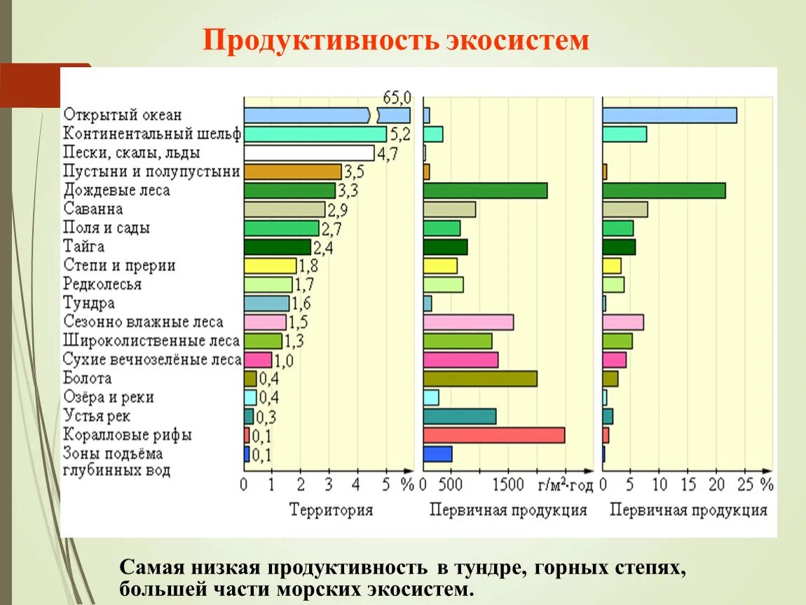 Последовательность увеличения биологической продуктивности природных зон. Биологическая продуктивность экосистем. Оценка продуктивности экосистемы. Первичная продукция биогеоценоза. Продуктивность экосисте ы.