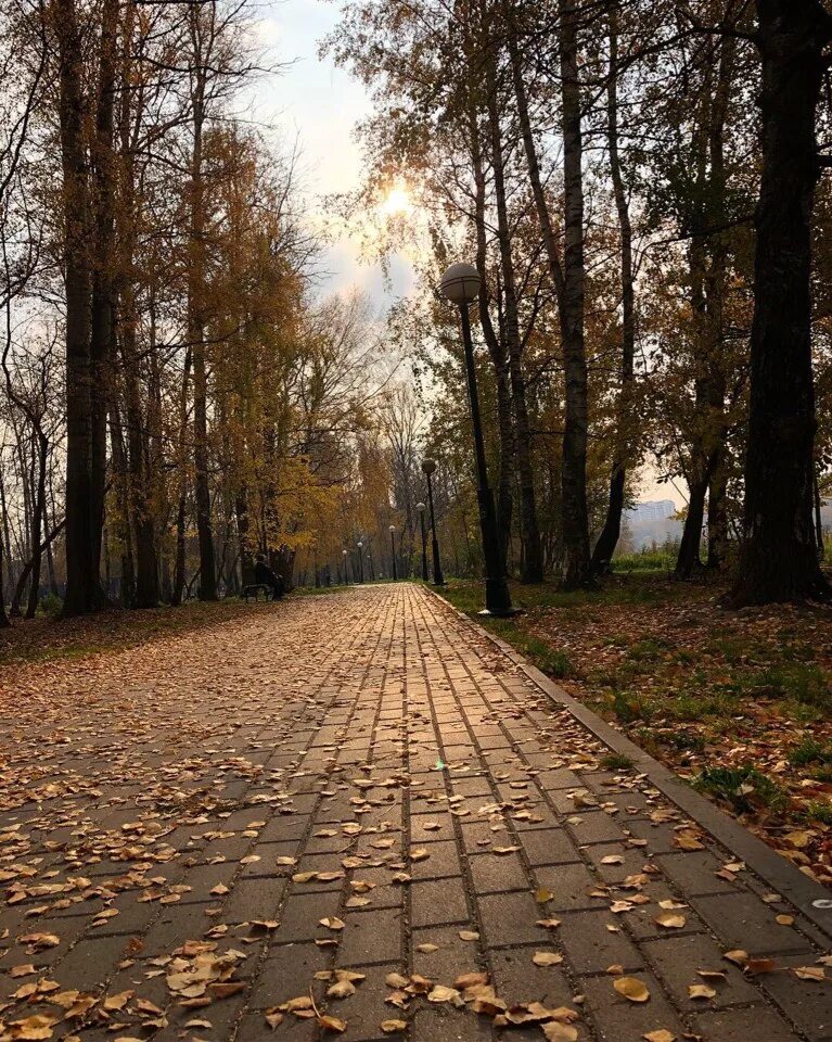 Балашихинский