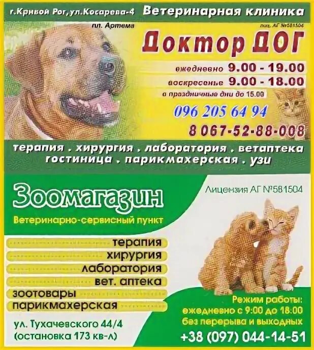 Клиника на стадионе