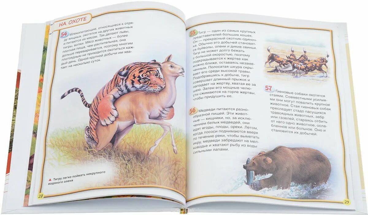 Жена для зверя читать. Книга 100 фактов млекопитающие. Книга млекопитающие. Книжка у млекопитающих. 100 Фактов о животных книга.