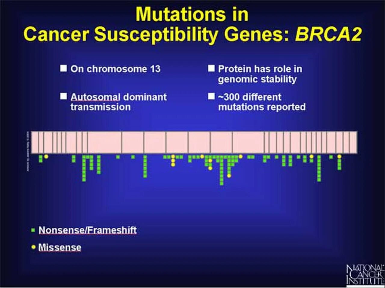 Global mutation. BRCA мутация. Мутация Гена BRCA. Мутации в генах BRCA. Мутация сдвига рамки считывания.