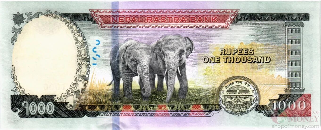 Amount of money in kenya. Банкнота непал 2020 100 рупий. 1000 2019 года. Купюры коста рика. Валюта никарагуа.