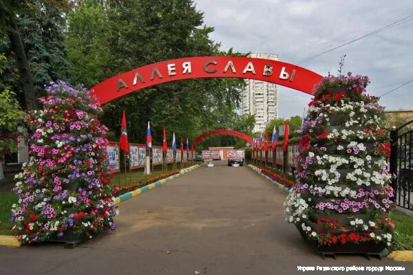 Аллея славы в рязани. Аллея славы спасск рязанский. Аллея славы спасск рязанский. Аллея героев рязань. Аллея славы в рязани.