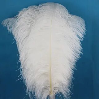 White feather