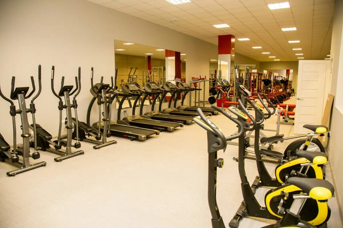 Artagym плакат. Абонемент джим бро. Gold's gym ереван. Джим джим абонемент. Джим джим абонемент.