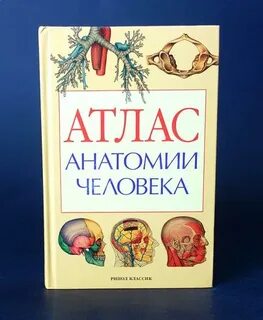 Рипол классик
