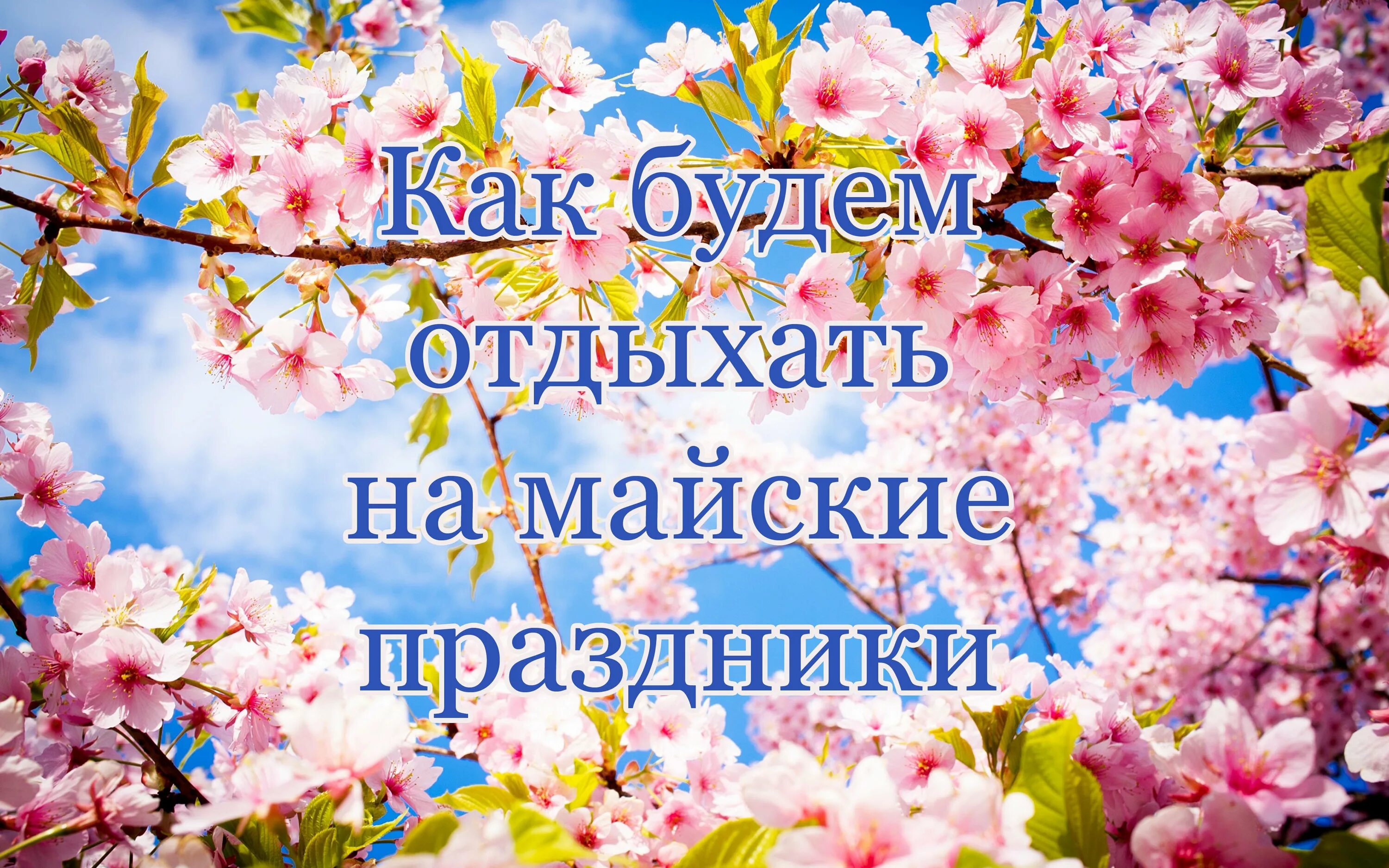 Отдохнуть на майские праздники недорого. Майские праздники. Майские празндик. Приятного отдыха майские праздники. Майские каникулы.