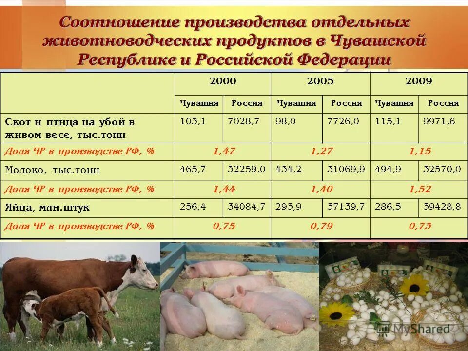 Какие товары мы получаем благодаря животноводству