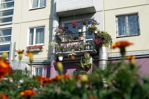 Дом цветов красноярск