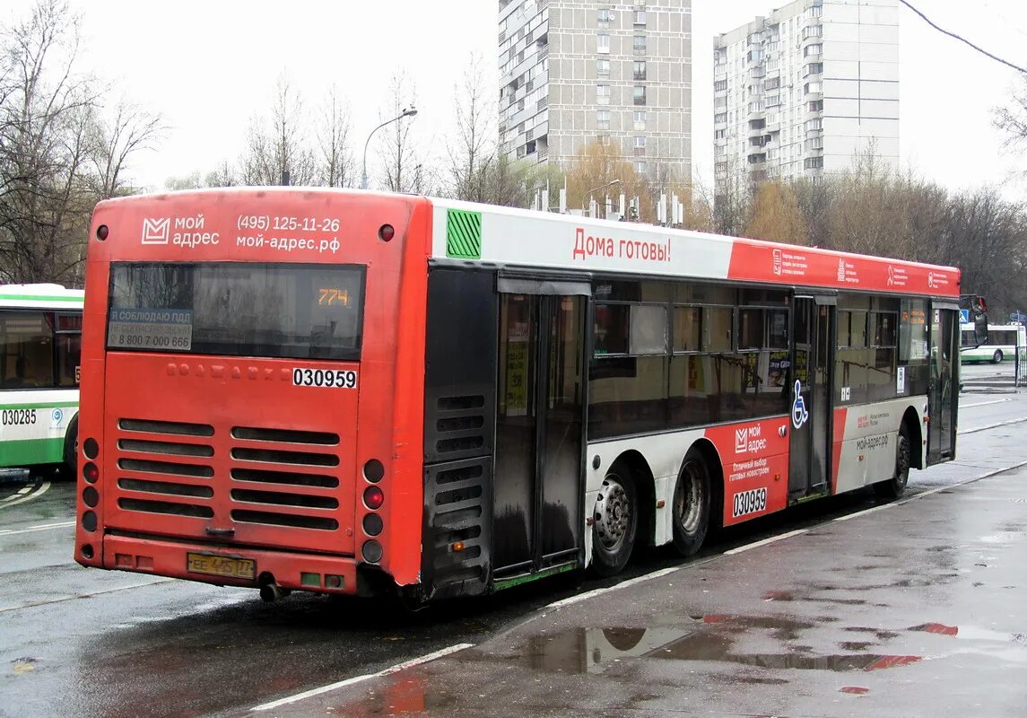 774 автобус лось