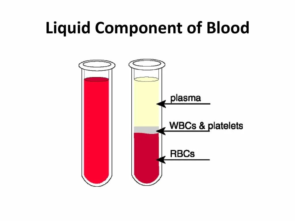 Сыворотка крови. Плазма крови. Blood Plasma. Blood components. Плазма крови в лицо