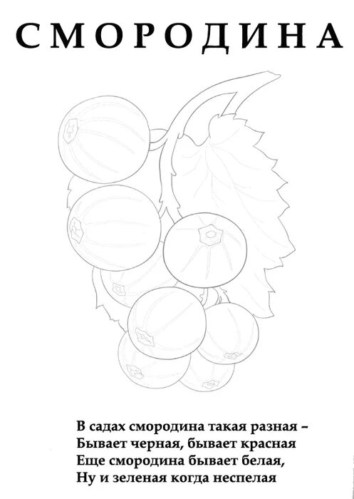 Раскраска ягоды смородина. Раскраска с загадками про фрукты. Смородина задания для детей. Смородина раскраска для детей. Черная смородина слова текст