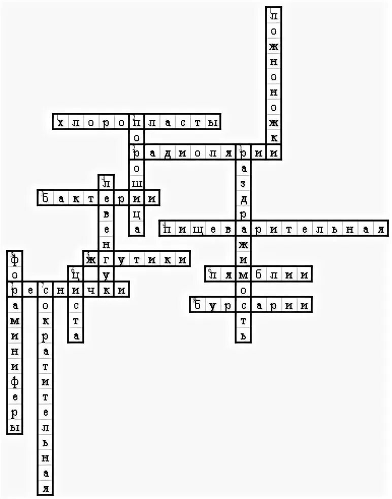 Кроссворд беспозвоночных животных. Кроссворд по теме одноклеточные животные биология 7 класс. Кроссворд на тему простейшие по биологии 7 класс с ответами 10 вопросов. Кроссворд по теме простейшие биология с ответами 7 класс. Кроссворд по простейшим по биологии.