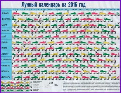 Коли можна