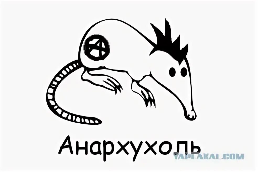 Анекдот ежик выхухоль. Выхухоль мем. выхухоль стикер. классификация выхухолей.