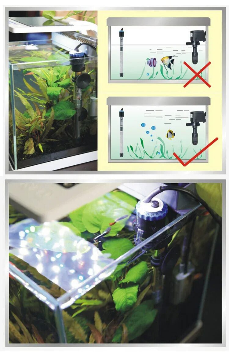 терморегулятор barbus для аквариума в аквариуме, обогреватель барбус для аквариума, нагреватель воды для аквариума с терморегулятором, как установить нагреватель в аквариум