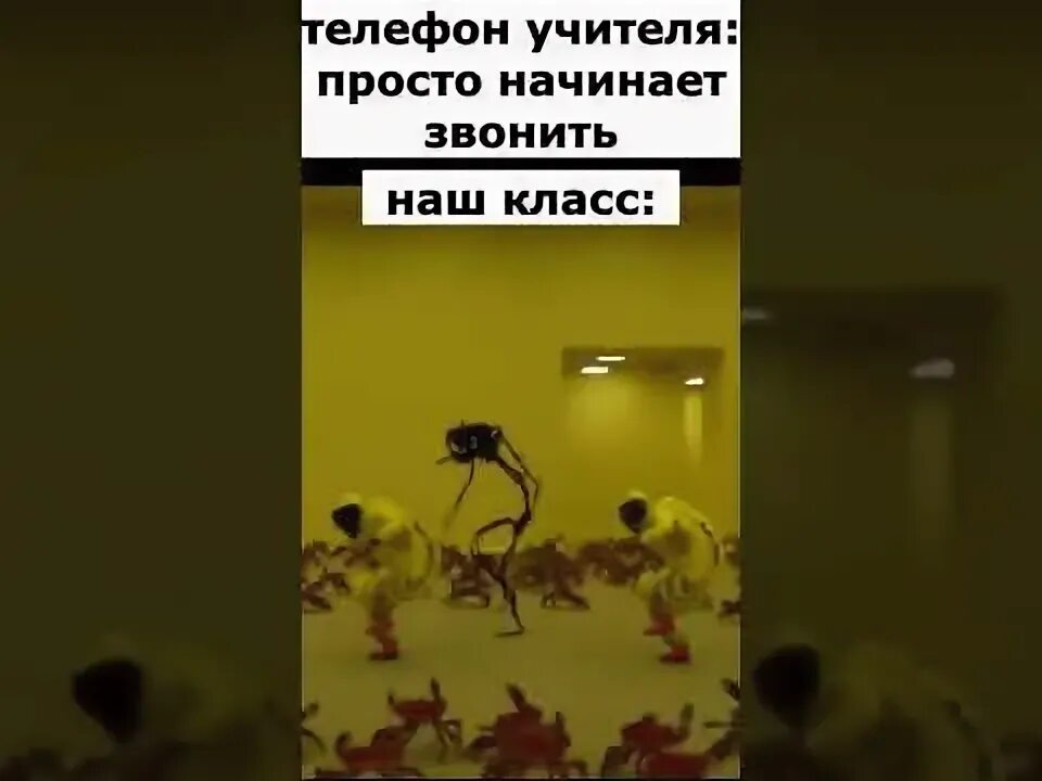 Закулисье мемы