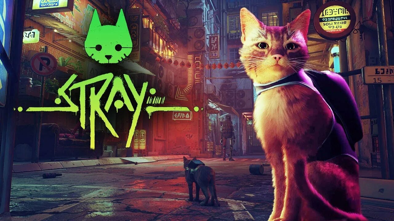 Игра котики прохождение. Stray игра 2022. Stray игра ps4. СТРЕЙ котик игра. Игра про кота 2022.