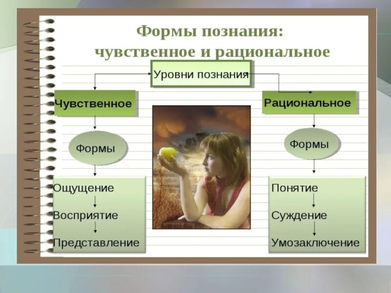 О человеческих знаниях мире