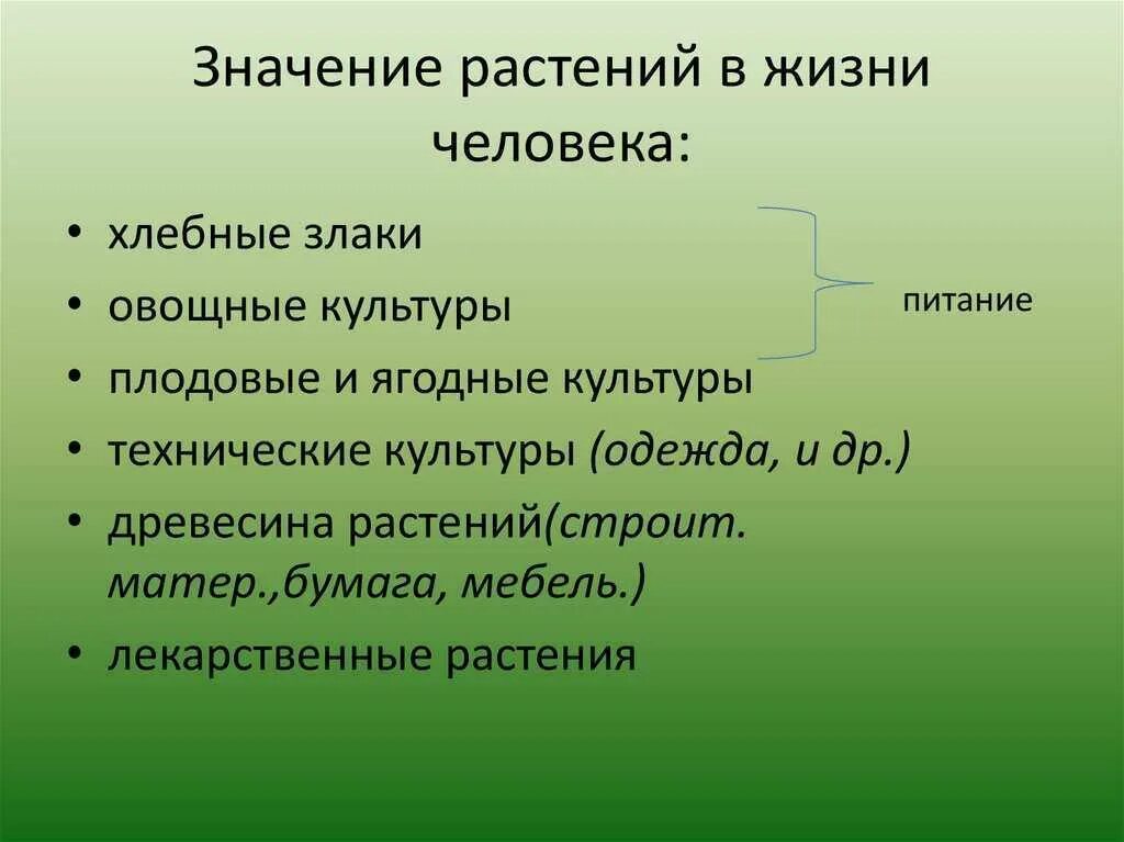 Роль леса в природе. Отрицательная роль растений. Отрицательная роль животных в природе. Значение животных в жизни человека. Роль комнатных растений.