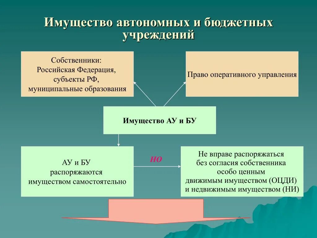 Бюджетное учреждение собственник