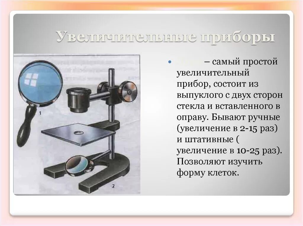 Какие приборы нужны для наблюдения. Увеличительные приборы для исследований 5 класс биология. Штативная лупа биологий 5. Штативная лупа 5 класс биология. Лупа и микроскоп увеличительные приборы.